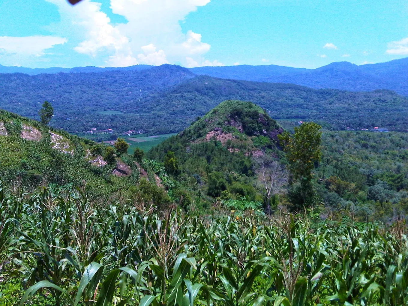 Bukit Tapan