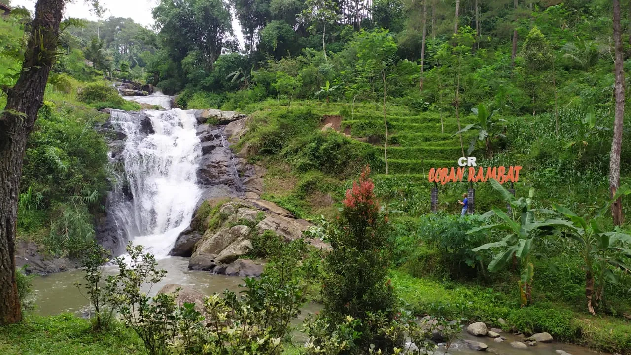 Coban Rambat